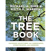 Tara Books “The Antler Tree” Tara Books “The Antler Tree” Tara Books The Antler Tree from